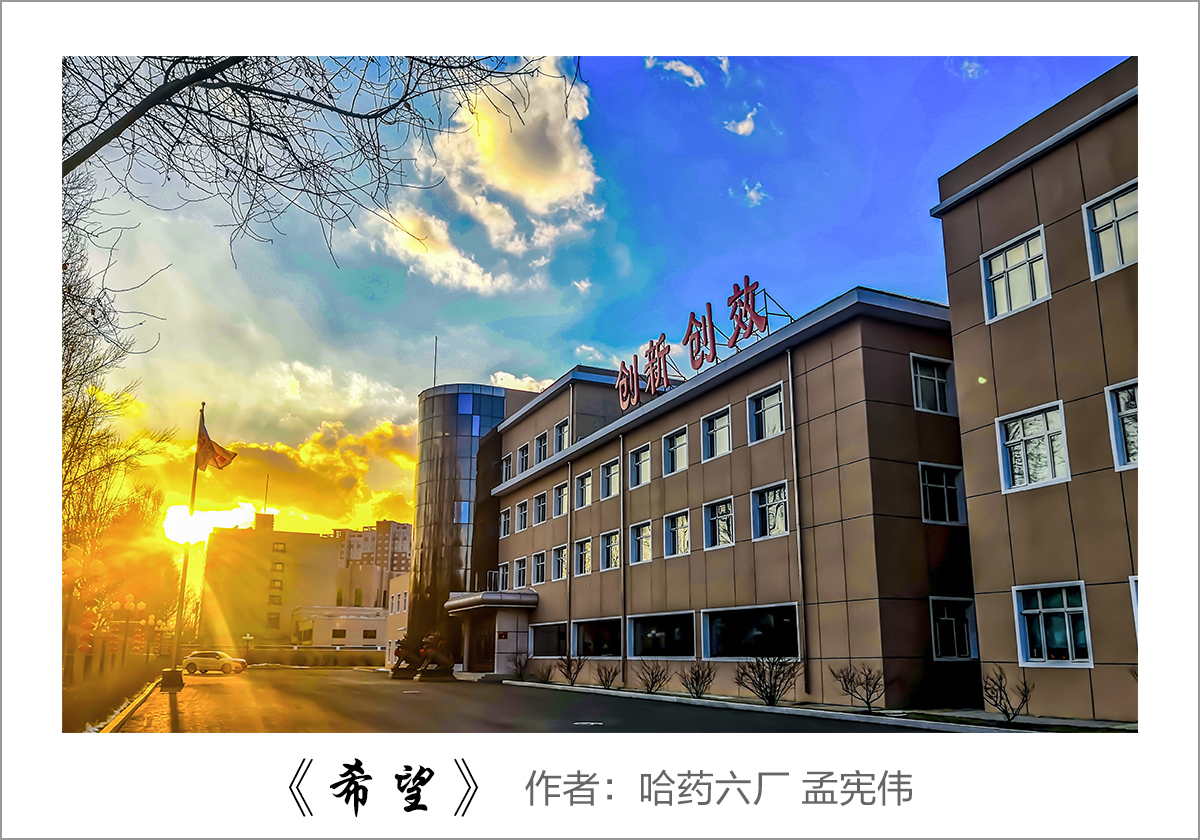 【迎國慶 展風采】我眼中的哈藥——職工攝影大賽作品展示！